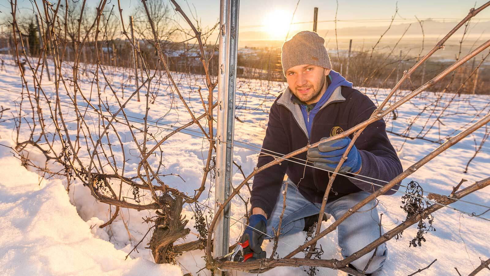 Diego Morra Barolo Monvigliero Mantenere